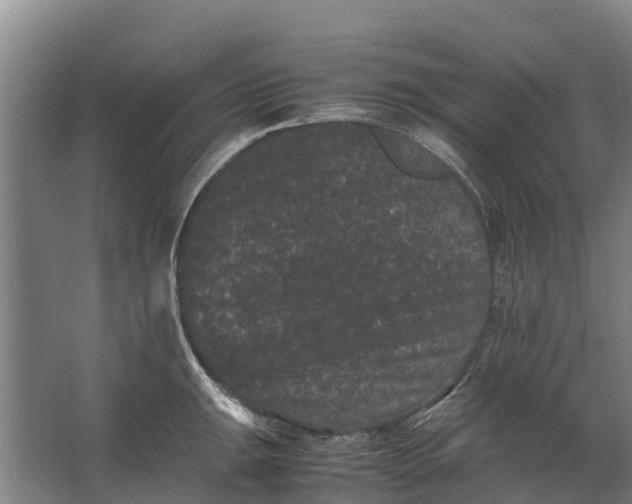 X0000062631047200601041026