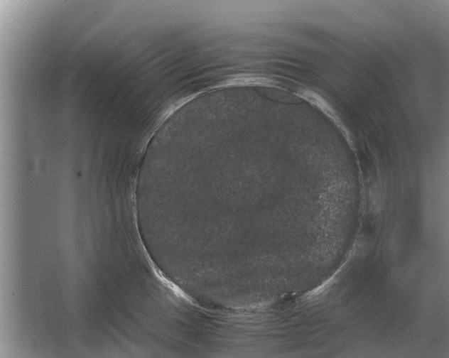 X0000062631049200601041026