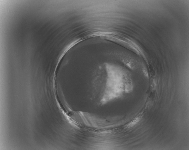 X0000062631050200601041026