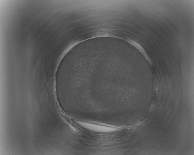 X0000062631051200601041026