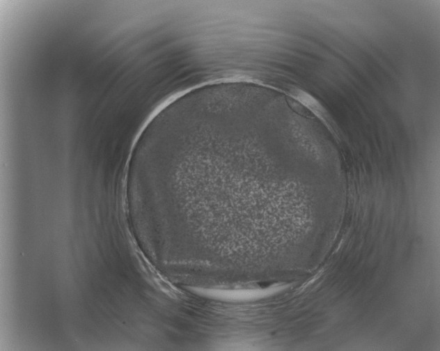 X0000062631052200601041026