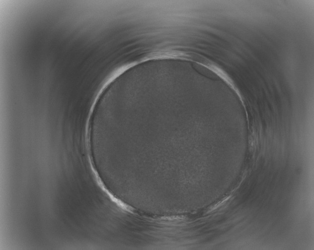 X0000062631053200601041026