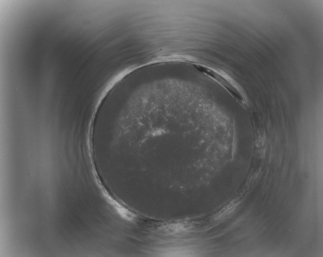 X0000062631054200601041026