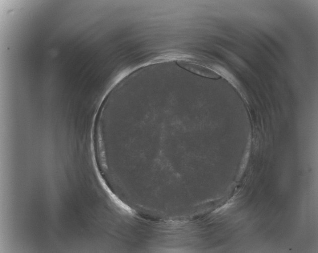 X0000062631055200601041026