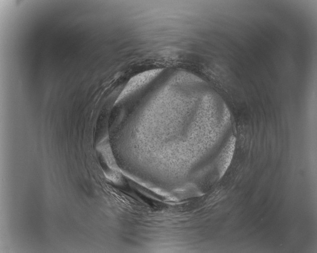 X0000062631057200601041025