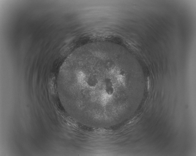 X0000062631059200601041025