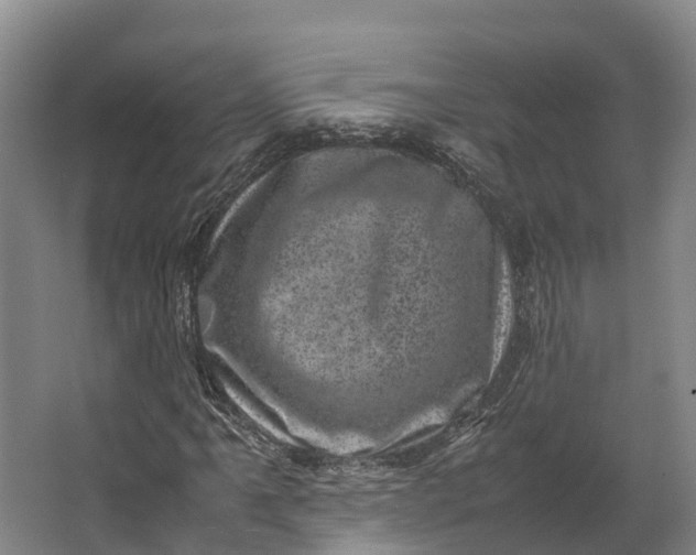 X0000062631061200601041025