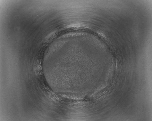 X0000062631062200601041025