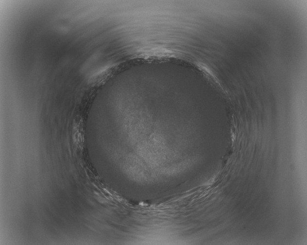 X0000062631063200601041025