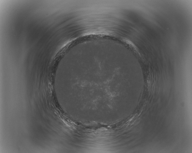 X0000062631064200601041025