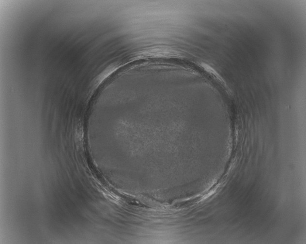 X0000062631065200601041025