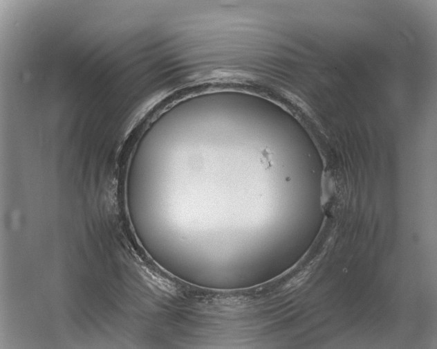 X0000062631066200601041025