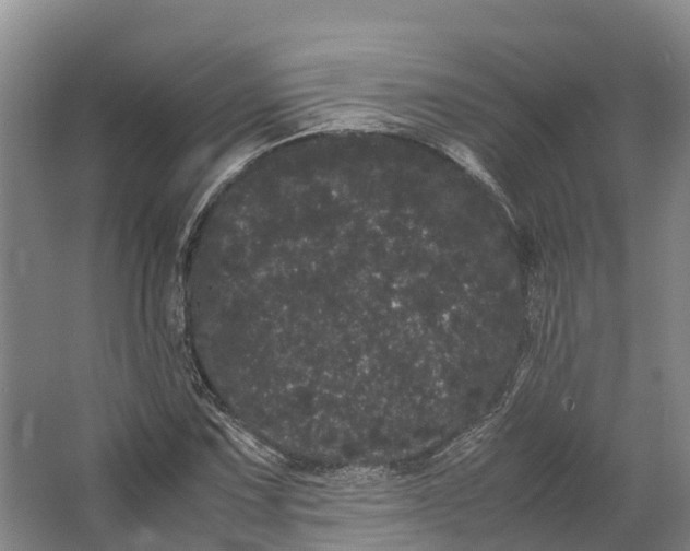 X0000062631067200601041025