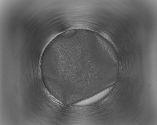 X0000062631068200601041025