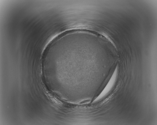 X0000062631069200601041025