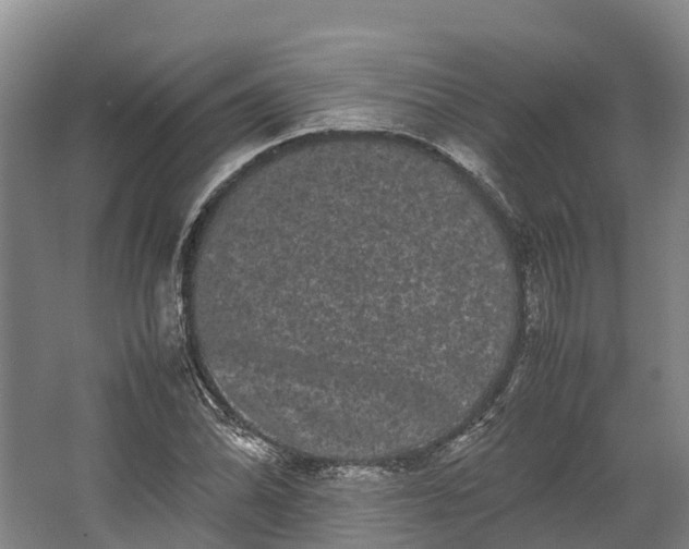 X0000062631070200601041025