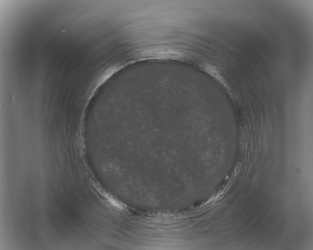 X0000062631071200601041025