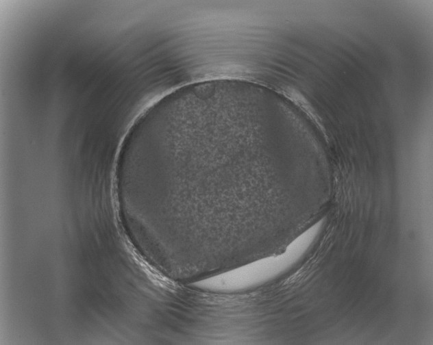 X0000062631072200601041025