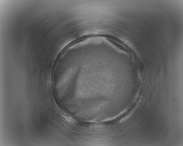 X0000062631073200601041025