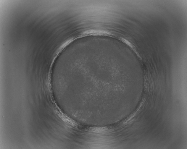 X0000062631074200601041025