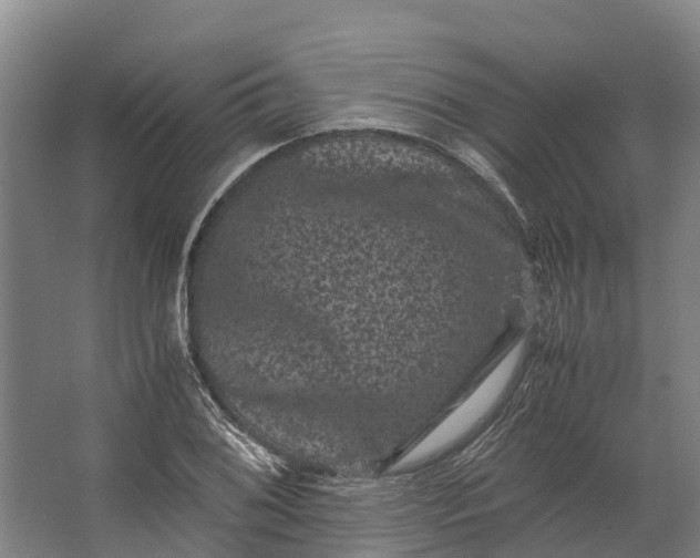 X0000062631076200601041025