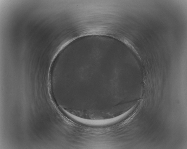 X0000062631077200601041025