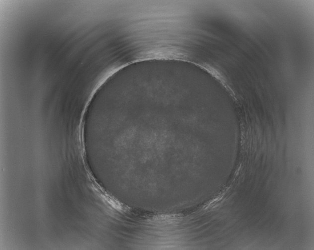 X0000062631078200601041025