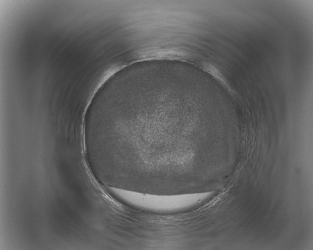 X0000062631079200601041025