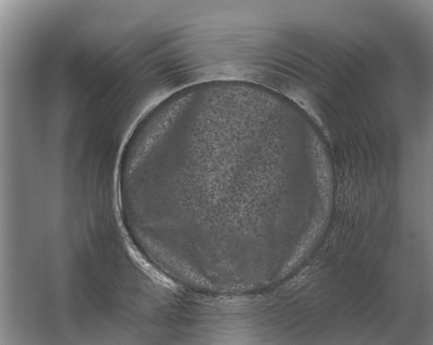 X0000062631080200601041025