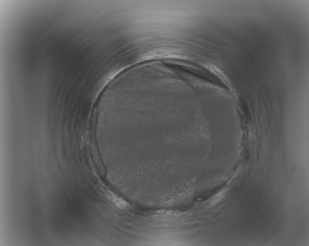 X0000062631081200601041025