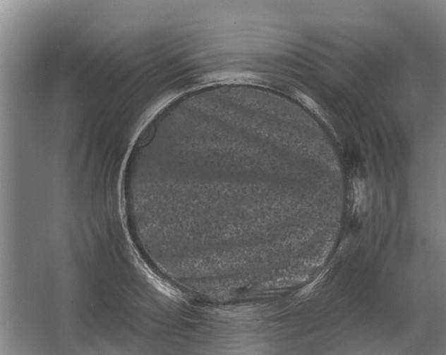 X0000062631082200601041025