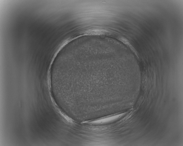 X0000062631083200601041025