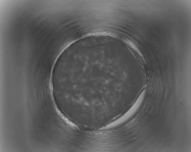 X0000062631084200601041025