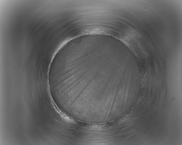 X0000062631086200601041025