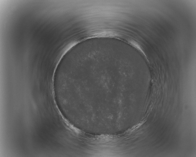 X0000062631087200601041025