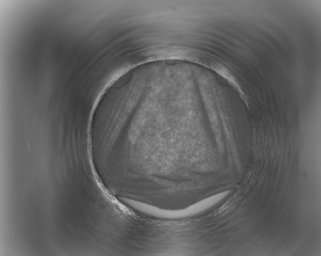 X0000062631088200601041025