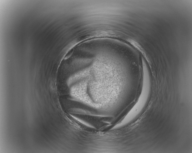 X0000062631089200601041025