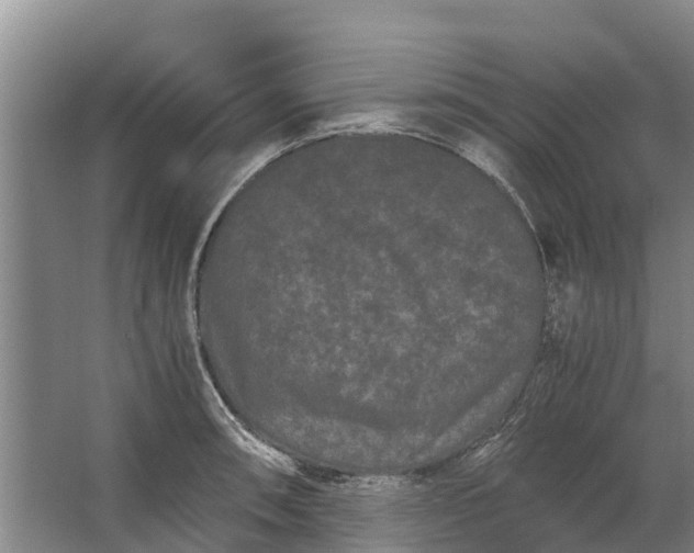 X0000062631090200601041025