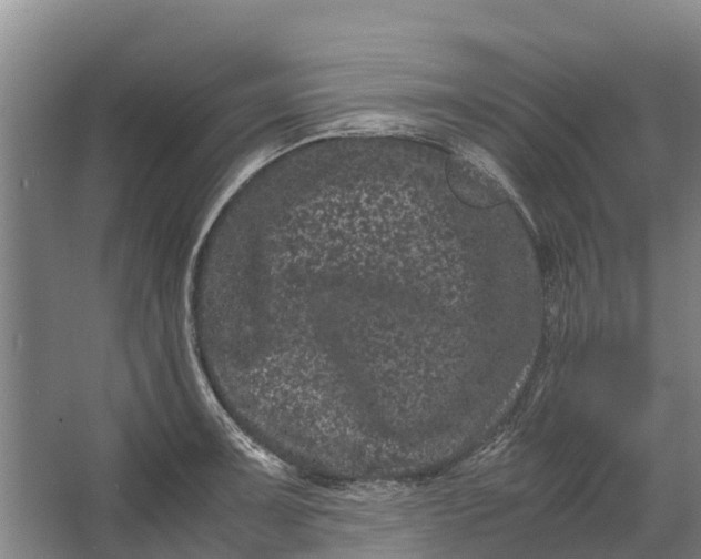 X0000062631091200601041025