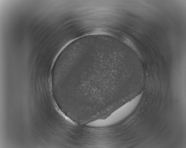 X0000062631092200601041025