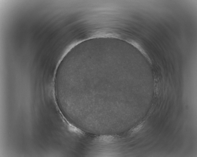 X0000062631094200601041025