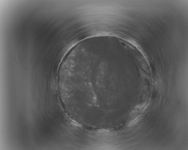 X0000062631097200601041025