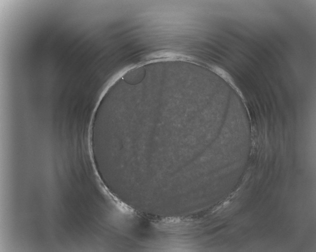 X0000062631098200601041025