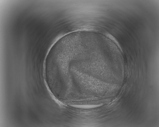 X0000062631099200601041025