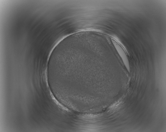 X0000062631100200601041025