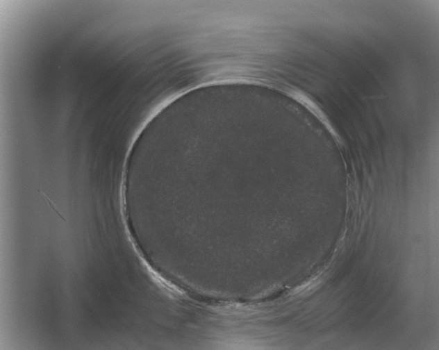 X0000062631101200601041025