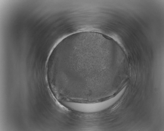 X0000062631102200601041025