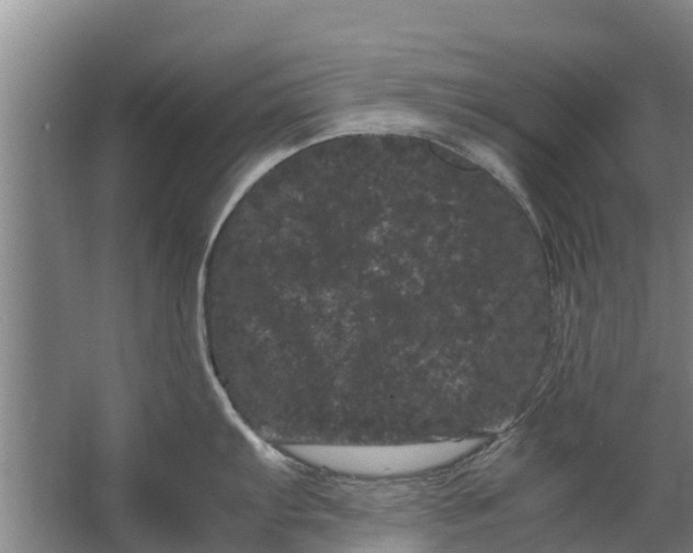 X0000062631103200601041024