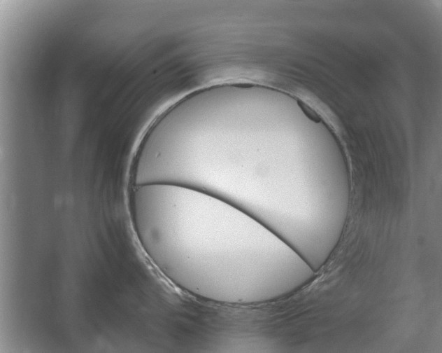 X0000062631104200601041024