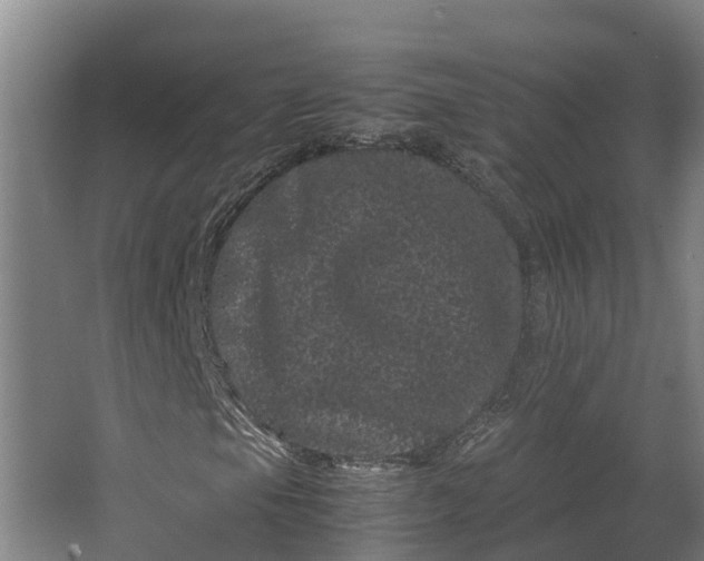 X0000062631105200601041024